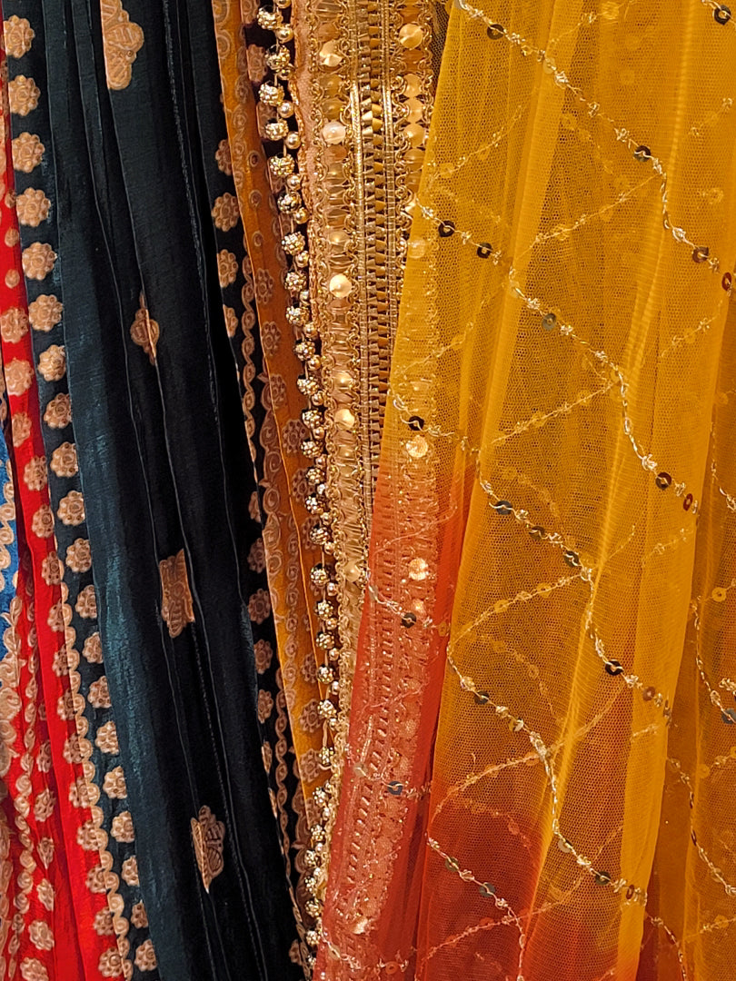 Multicolor Ready to Wear Designer Lehenga Choli Set for Women. Heavy shaded net dupatta. Festive Ready.