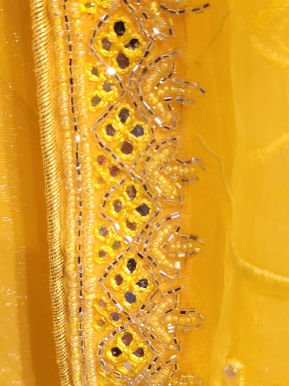Yellow Chiffon Saree with Resham, Beads, Sequins and Mirror Work