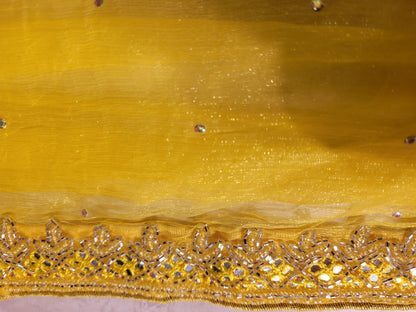 Yellow Chiffon Saree with Resham, Beads, Sequins and Mirror Work.