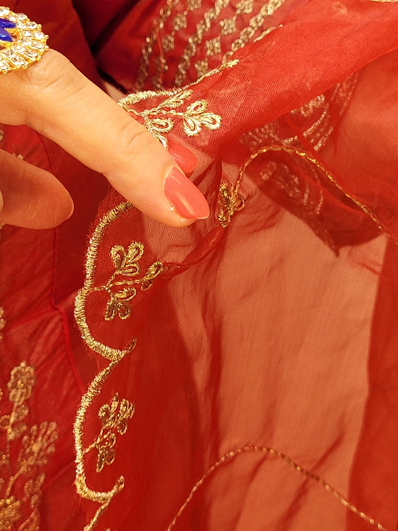 Rust Orange Party Wear Kurta Set. Zari work embroidery on kameez front panel, daaman, Heavy embroidered dupatta.