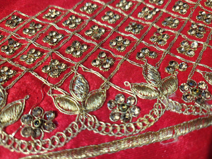 Light Golden Tissue Saree with beautiful embroidery