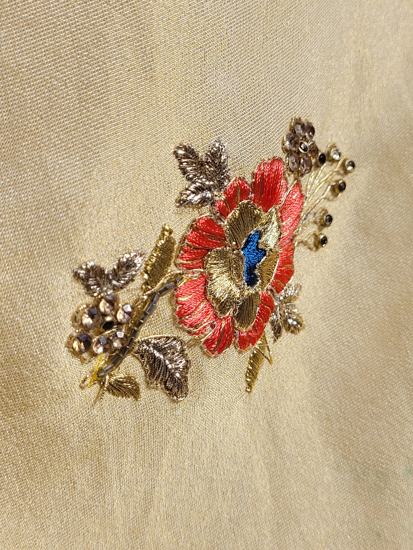 Light Golden Tissue Saree with beautiful embroidery